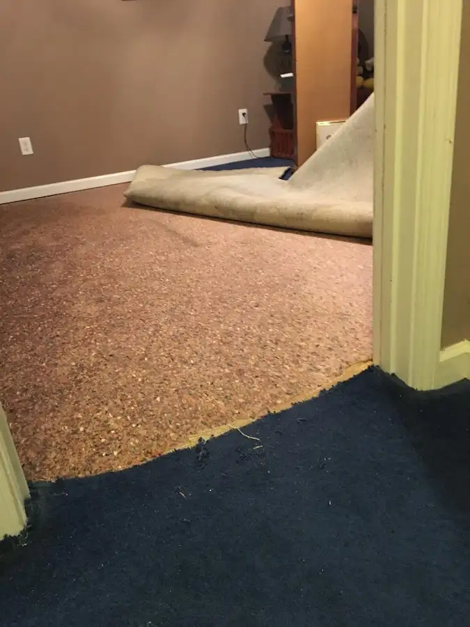 Carpet pad removal revealing water damage during Water Mitigation Services in Crookston