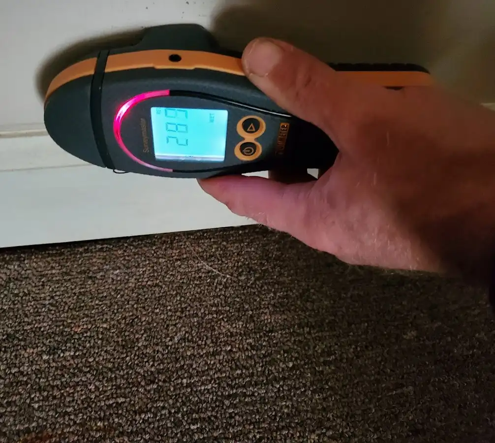 Moisture detection at baseboard during Mold Inspection & Testing in Crookston